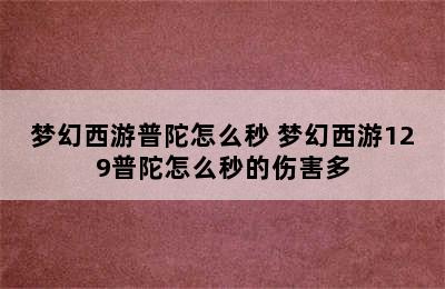 梦幻西游普陀怎么秒 梦幻西游129普陀怎么秒的伤害多